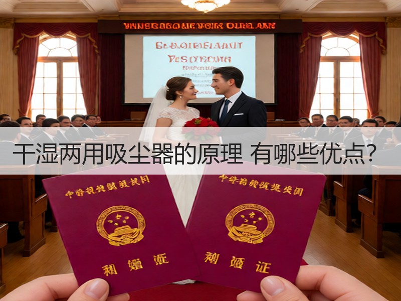 干湿两用吸尘器的原理 有哪些优点？