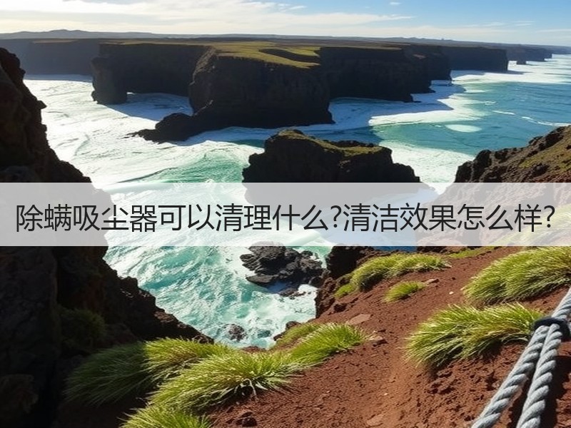 除螨吸尘器可以清理什么?清洁效果怎么样?