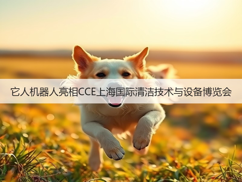 它人机器人亮相CCE上海国际清洁技术与设备博览会