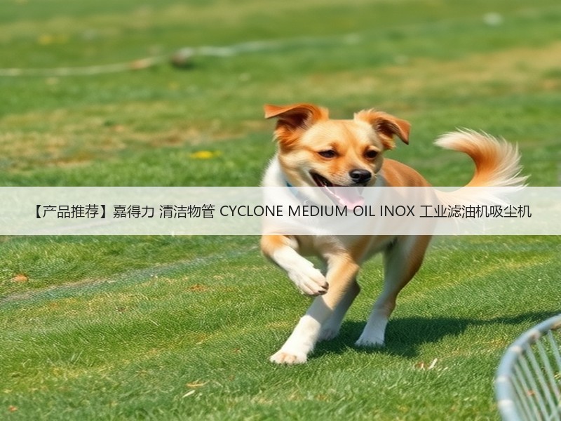 【产品推荐】嘉得力 清洁物管 CYCLONE MEDIUM OIL INOX 工业滤油机吸尘机