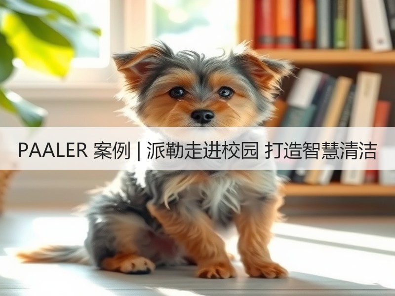 PAALER 案例 | 派勒走进校园 打造智慧清洁
