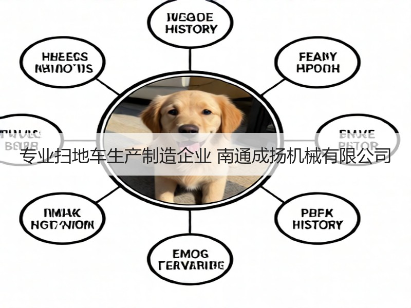 专业扫地车生产制造企业 南通成扬机械有限公司