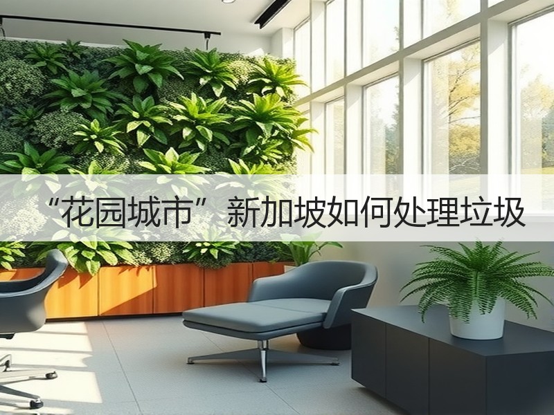 “花园城市”新加坡如何处理垃圾