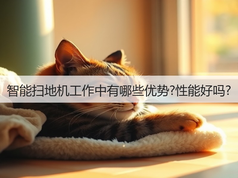 智能扫地机工作中有哪些优势?性能好吗?
