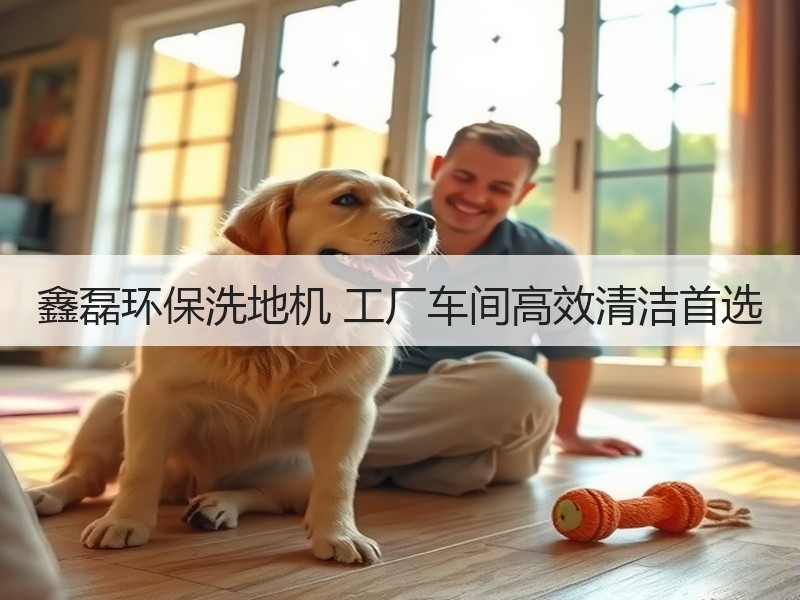 鑫磊环保洗地机 工厂车间高效清洁首选