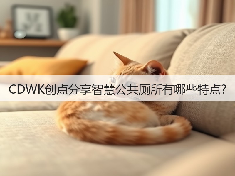 CDWK创点分享智慧公共厕所有哪些特点?