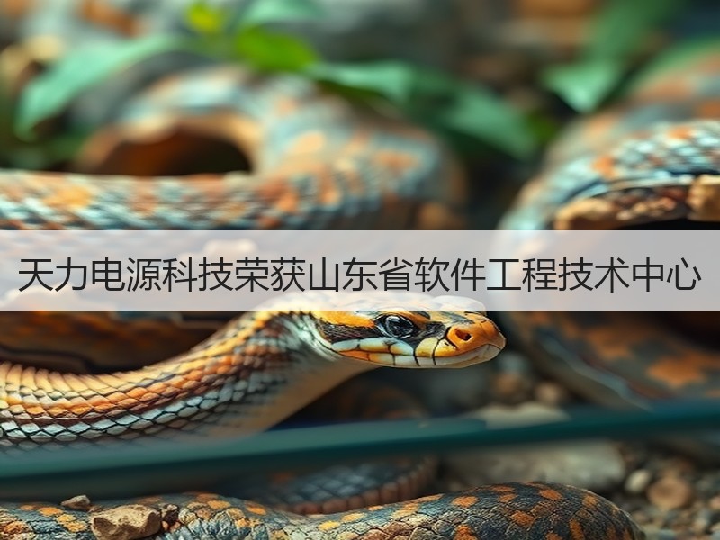 天力电源科技荣获山东省软件工程技术中心