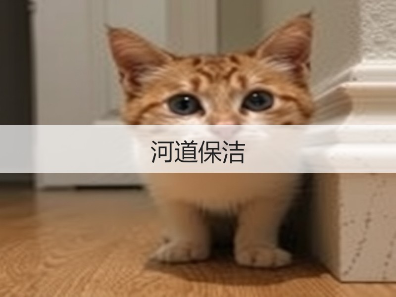 河道保洁