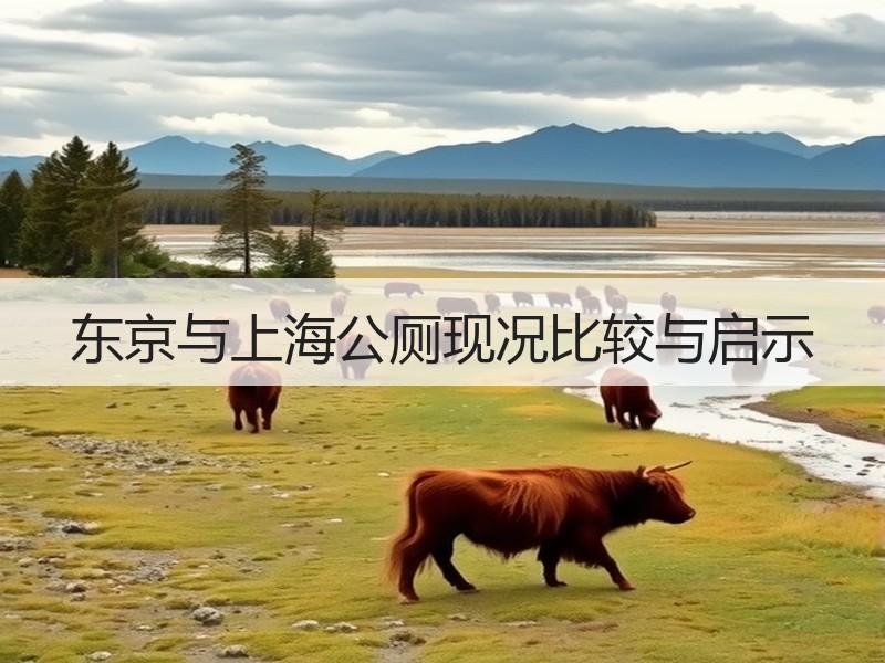东京与上海公厕现况比较与启示