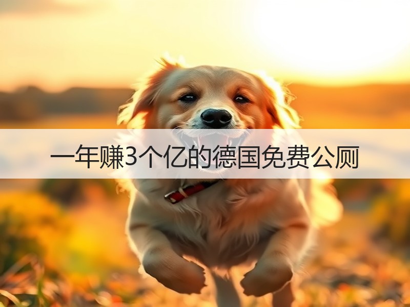 一年赚3个亿的德国免费公厕