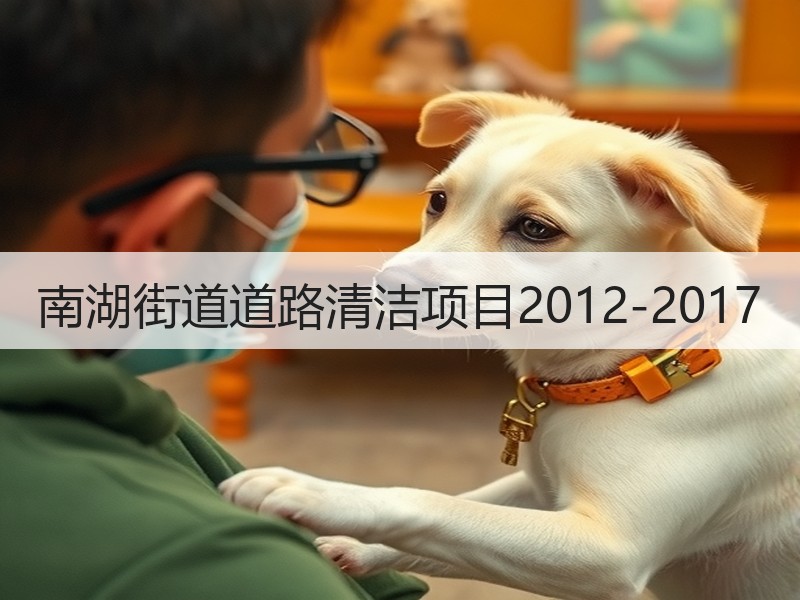 南湖街道道路清洁项目2012-2017