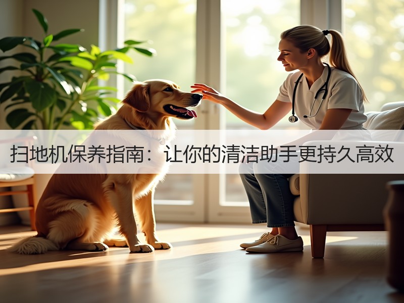 扫地机保养指南：让你的清洁助手更持久高效